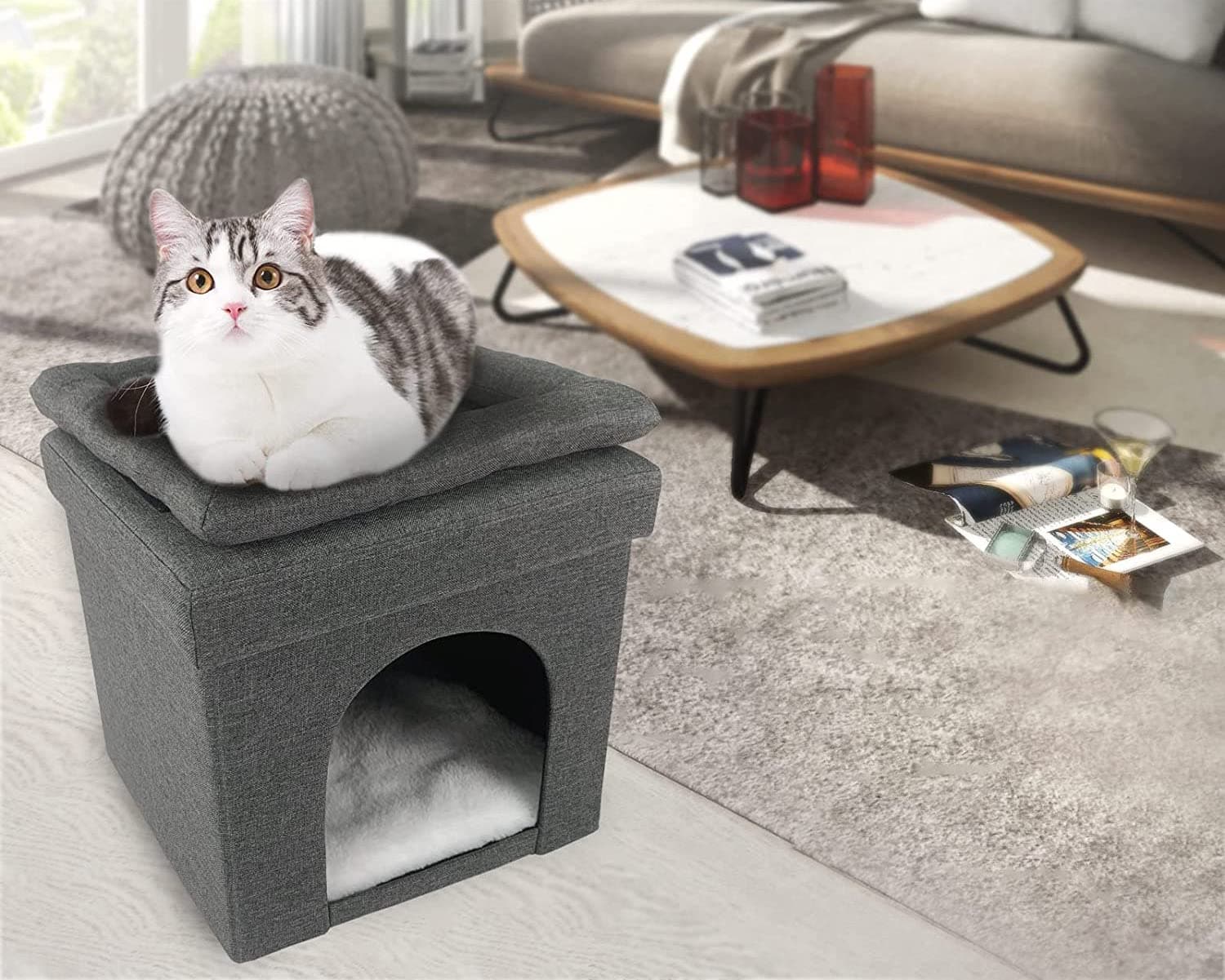 Cover Image for Best ottoman pet houses that your pet and you will love